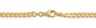 Gullkjede Panser 14 kt gult gull 4,7mm - 50 cm thumbnail