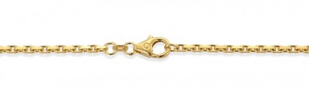 Anker Massiv 14 kt gult gull 2,0mm - 50 cm